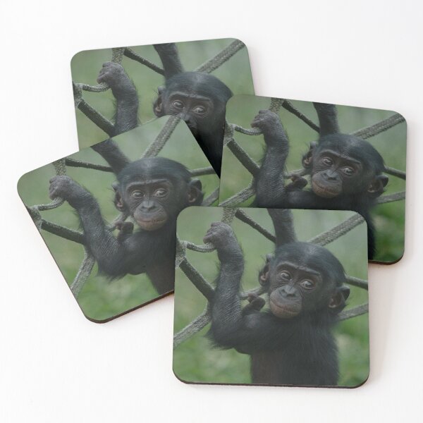 Item preview, Bonobo Lola designed and sold by rawshutterbug.