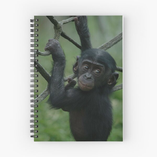 Item preview, Bonobo Lola designed and sold by rawshutterbug.