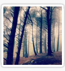 Killiney Hill Sticker