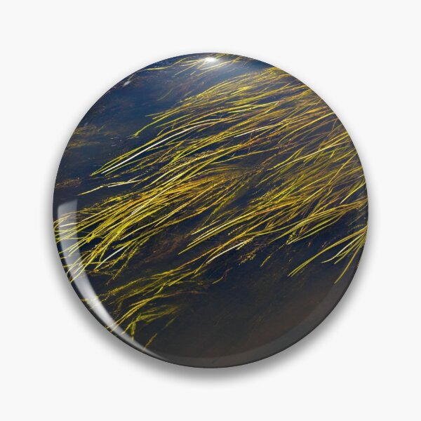 Item preview, water plants waving in the current designed and sold by Maxime Bervoets.
