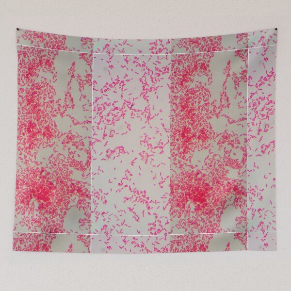 Item preview, GRAM NEGATIVE Pattern MICROSCOPIC Image PHOTO...Micro designed and sold by Hippiesole.