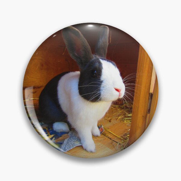 Item preview, Rabbit Ollie designed and sold by BarrowmanAngel.