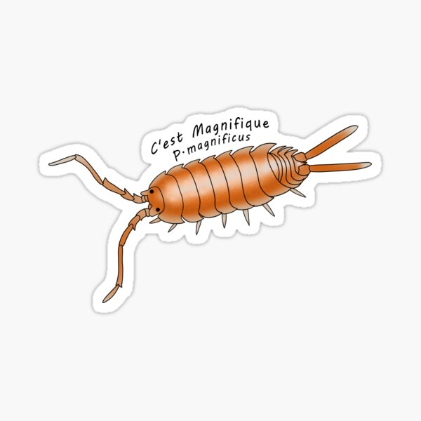 P.magnificus Ce'st Magnifique Sticker