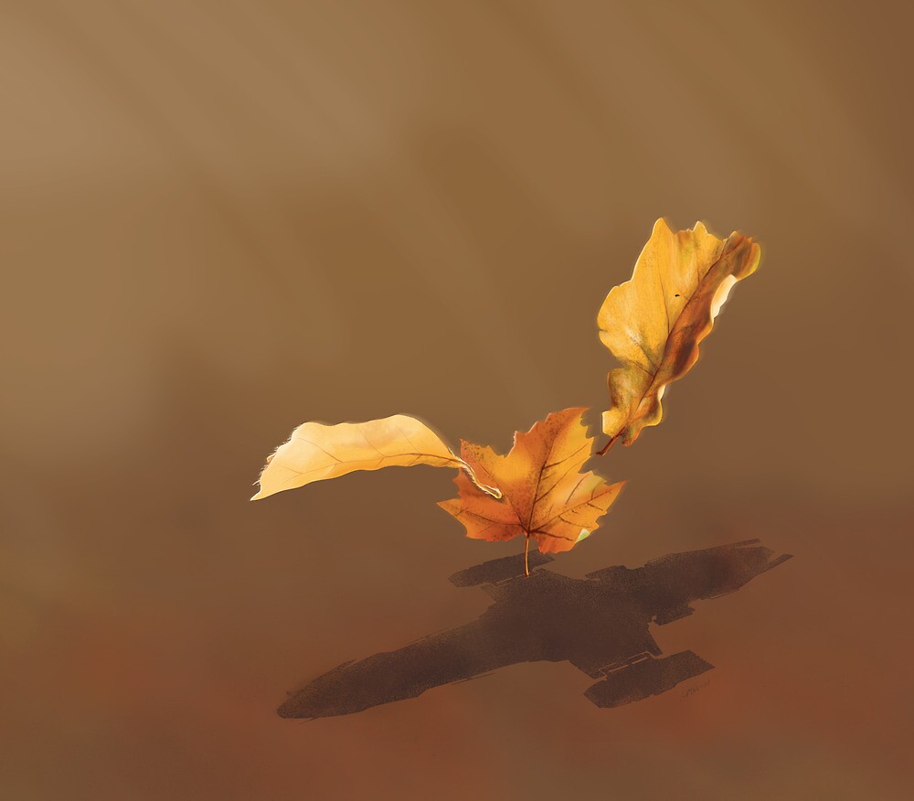 ima leaf on the wind meme