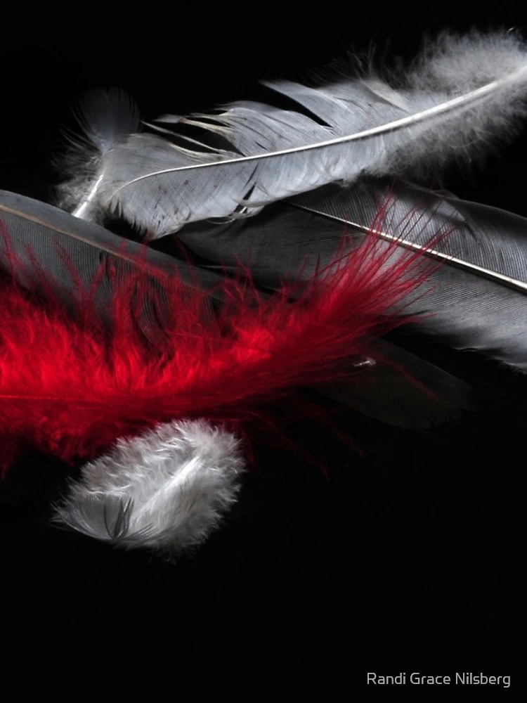 Thumbnail 4 of 4, iPhone Case, Red Feather designed and sold by Randi Grace Nilsberg.