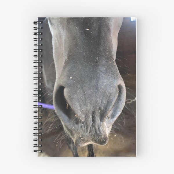 Item preview, Nariz Pony Negra designed and sold by Elizabeth Staley.