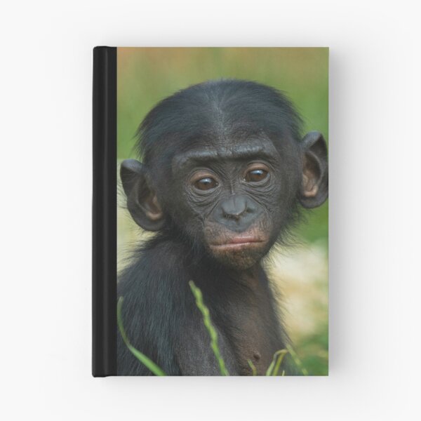 Item preview, Baby Bonobo Ape designed and sold by rawshutterbug.