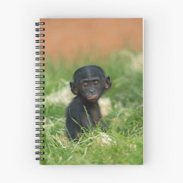 Item preview, Baby Bonobo Ape designed and sold by rawshutterbug.