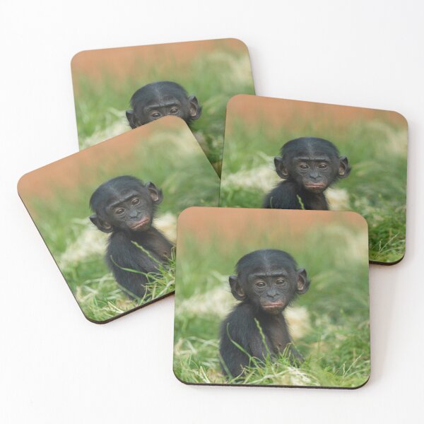 Item preview, Baby Bonobo Ape designed and sold by rawshutterbug.