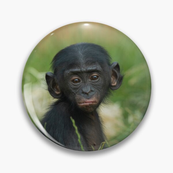 Item preview, Baby Bonobo Ape designed and sold by rawshutterbug.