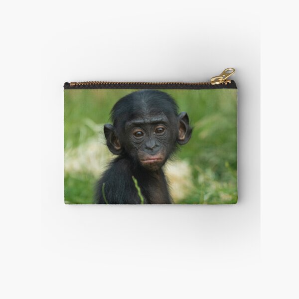 Item preview, Baby Bonobo Ape designed and sold by rawshutterbug.