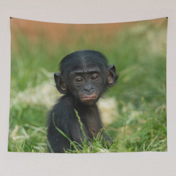 Item preview, Baby Bonobo Ape designed and sold by rawshutterbug.