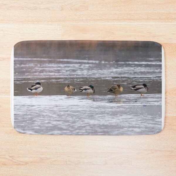 Item preview, Asleep On Ice designed and sold by mljdwhite.
