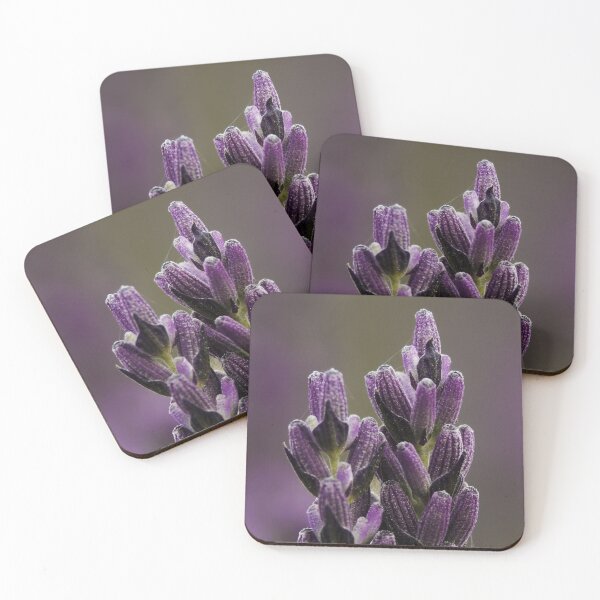 Item preview, Macro/Close Up of Lavender designed and sold by ChloePorter17.