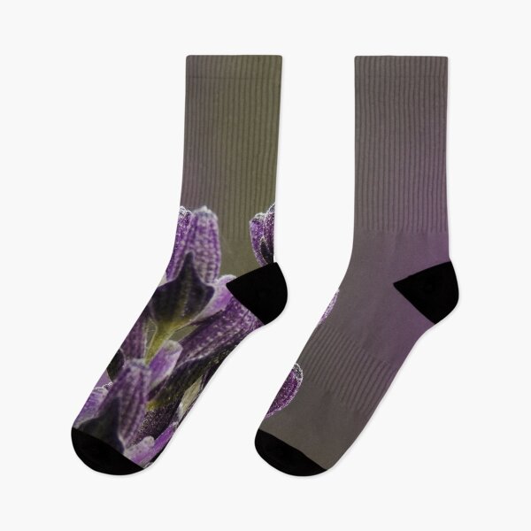 Item preview, Macro/Close Up of Lavender designed and sold by ChloePorter17.