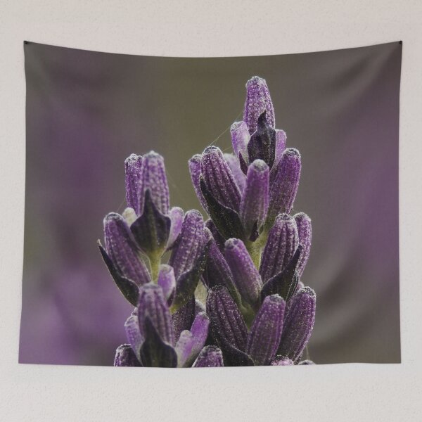 Item preview, Macro/Close Up of Lavender designed and sold by ChloePorter17.
