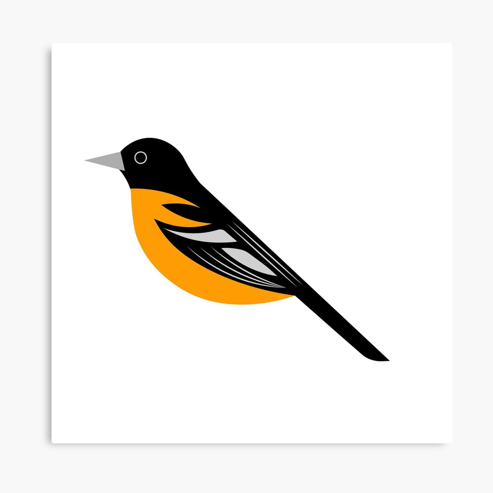 Minimalist Oriole Bird