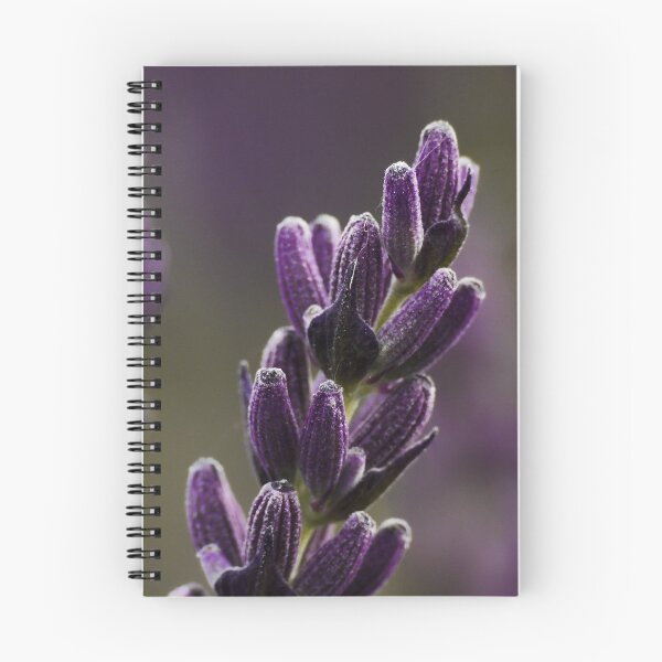 Item preview, Macro/Close Up of Lavender designed and sold by ChloePorter17.
