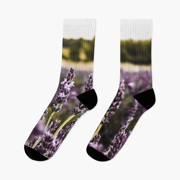 Item preview, Hitchin Lavender Fields designed and sold by ChloePorter17.