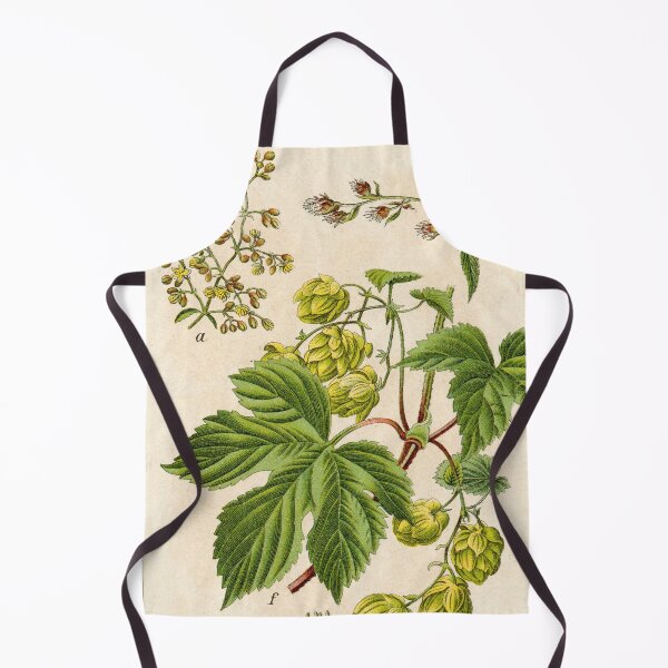 Item preview, Vintage German botanical illustration - Humulus lupulus (hop) designed and sold by Gardenlibrary.