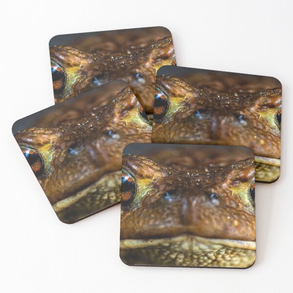 Item preview, Frog designed and sold by Cheesy06.