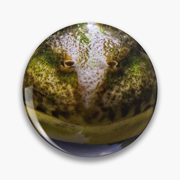 Item preview, Frog 2 designed and sold by Cheesy06.