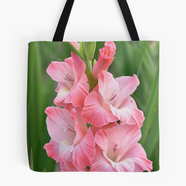 Item preview, Soft pink gladiolus designed and sold by IoanaHraball.