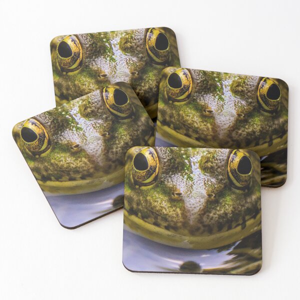 Item preview, Frog 2 designed and sold by Cheesy06.
