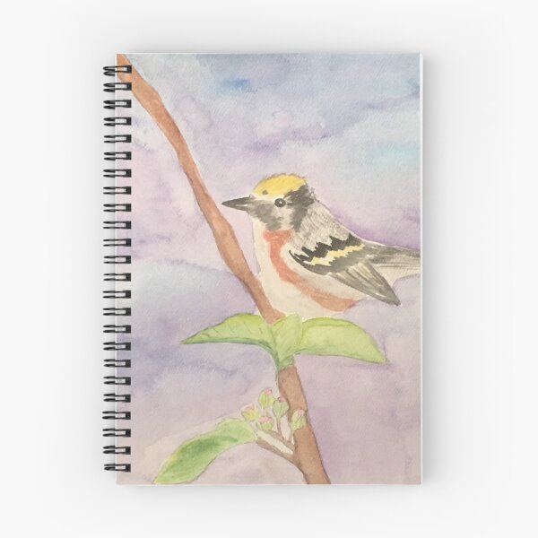 Item preview, Warbler designed and sold by JEnglandArt.