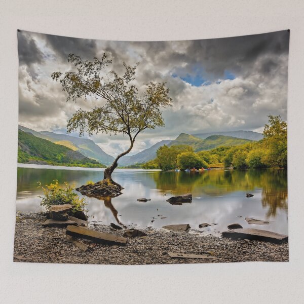 Item preview, Padarn lake Tree  designed and sold by AJEvans.