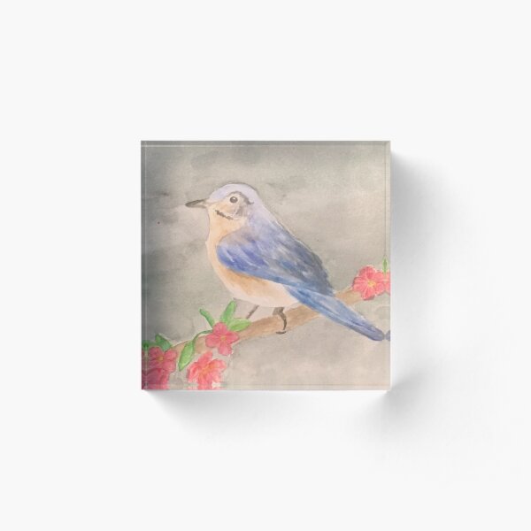 Bluebird Acrylic Block