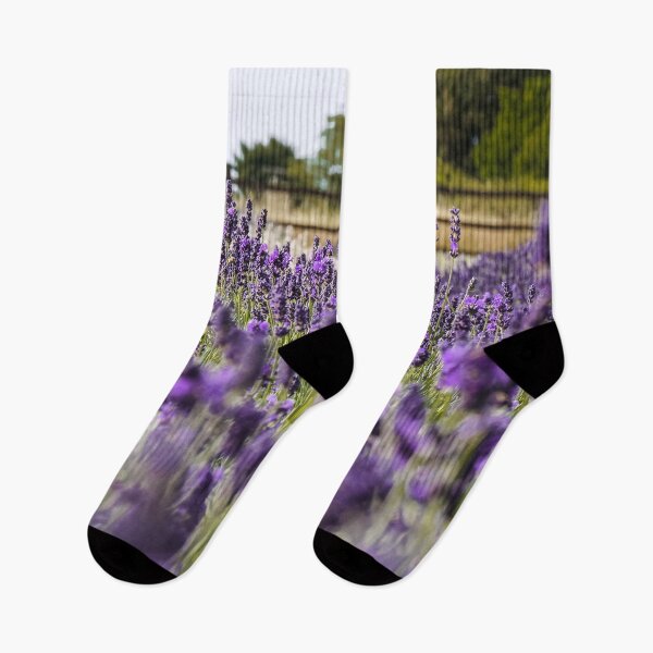Item preview, Hitchin Lavender Fields designed and sold by ChloePorter17.
