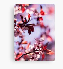 Stay like this forever Canvas Print