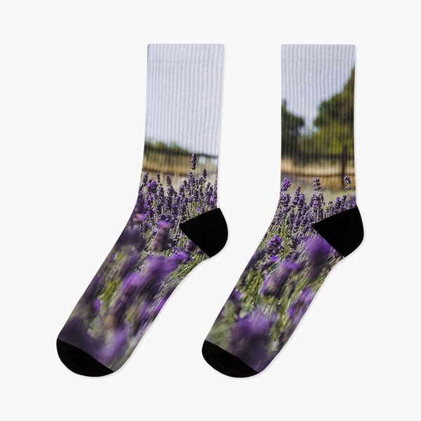 Item preview, Hitchin Lavender Fields designed and sold by ChloePorter17.