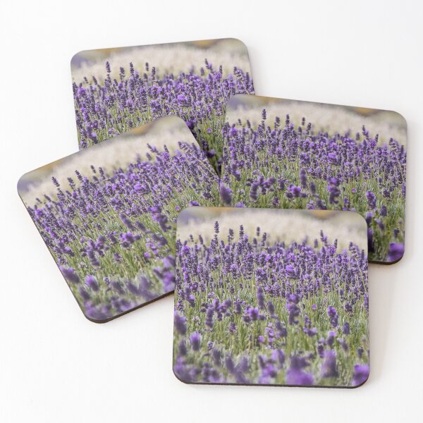 Item preview, Hitchin Lavender Fields designed and sold by ChloePorter17.