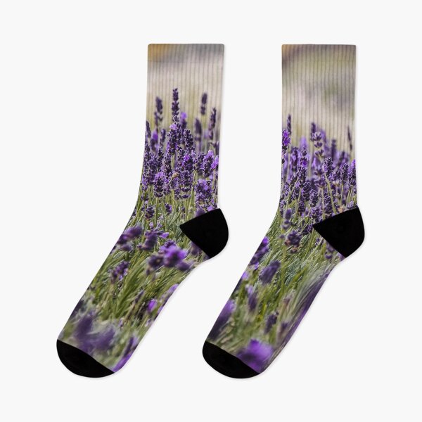 Item preview, Hitchin Lavender Fields designed and sold by ChloePorter17.