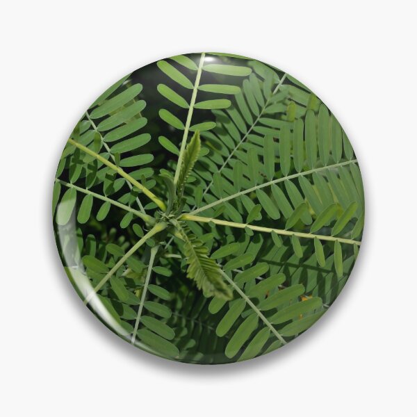 Item preview, Spiral Leaf Background  designed and sold by KbytesOfJax Outdoor and Nature.