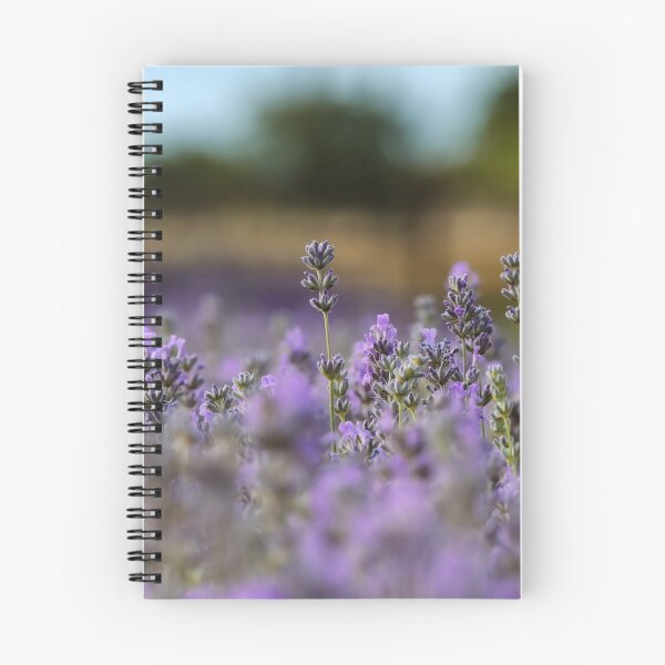 Item preview, Hitchin Lavender Fields Macro / Primer plano designed and sold by ChloePorter17.