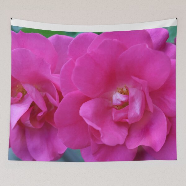 Tapestry