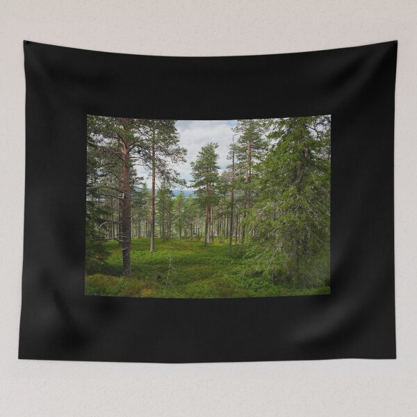 Item preview, It's Sweden that is behind the river designed and sold by Jouko Lehto Photography.