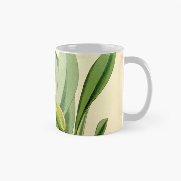 Item preview, Cymbidium tigrinum designed and sold by EsotericBotanic.