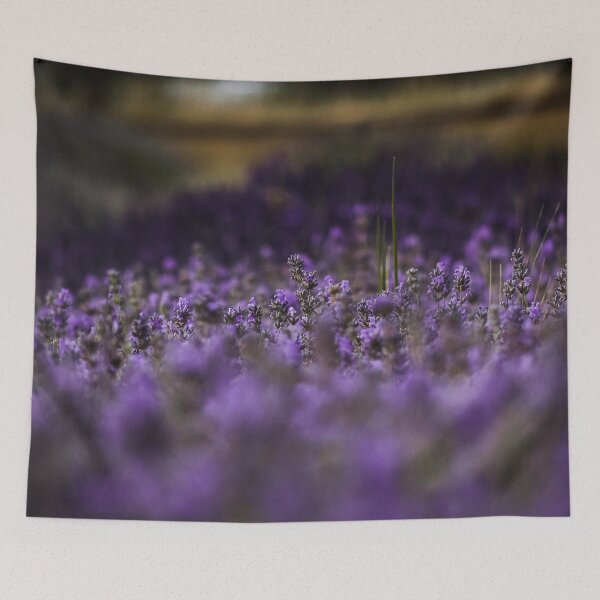 Item preview, Hitchin Lavender Fields Macro / Primer plano designed and sold by ChloePorter17.