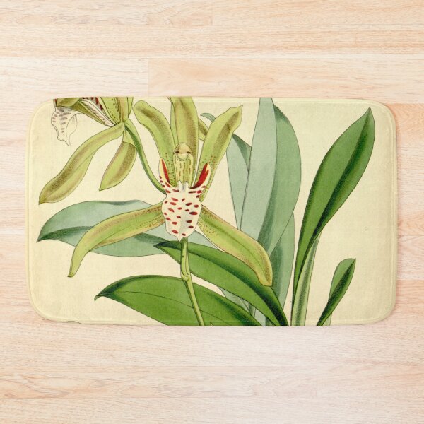 Item preview, Cymbidium tigrinum designed and sold by EsotericBotanic.