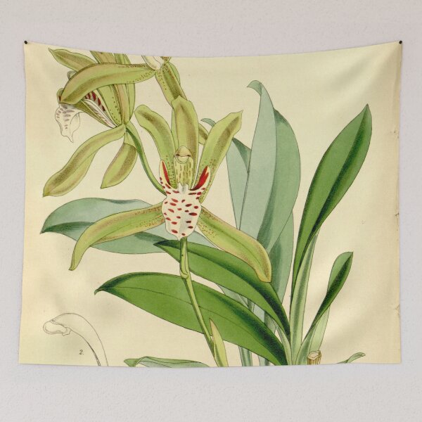 Item preview, Cymbidium tigrinum designed and sold by EsotericBotanic.