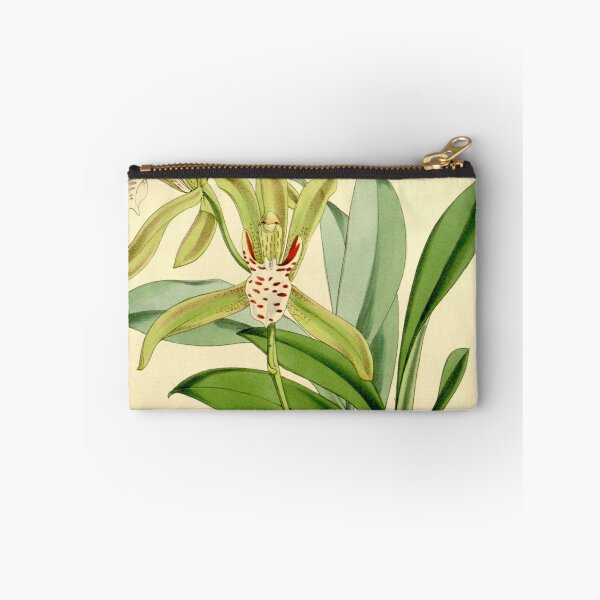 Item preview, Cymbidium tigrinum designed and sold by EsotericBotanic.
