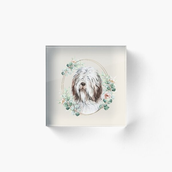 Bearded Collie Dog in a Floral Gold Wreath Frame Acrylic Block
