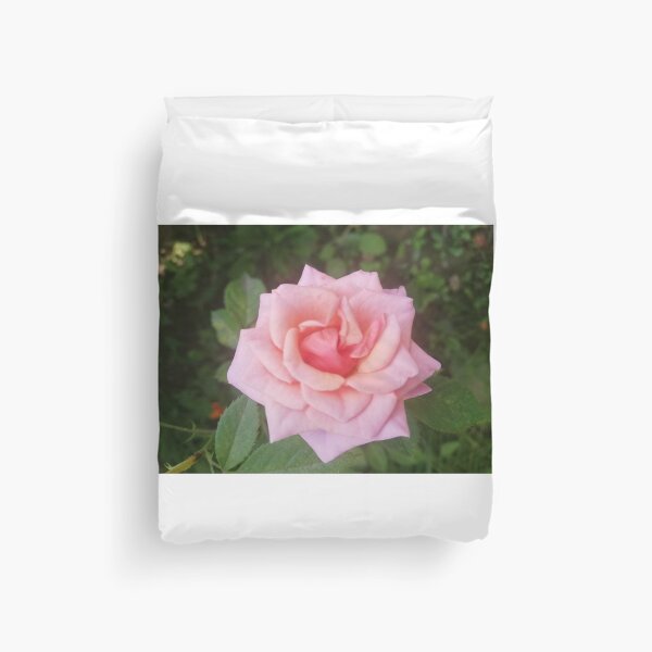 Item preview, Pink Rose designed and sold by hvasilevshop.