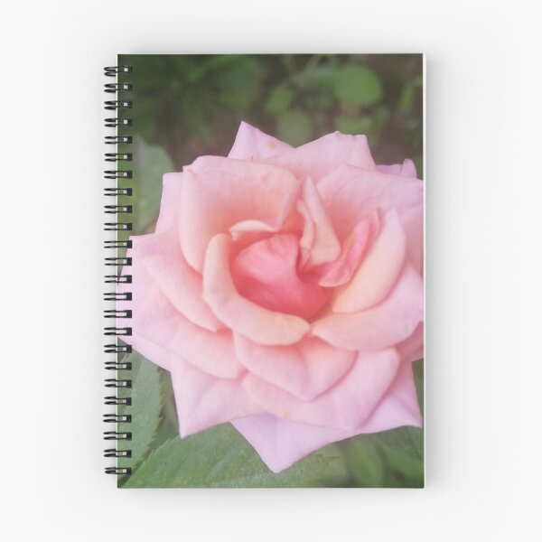 Item preview, Pink Rose designed and sold by hvasilevshop.