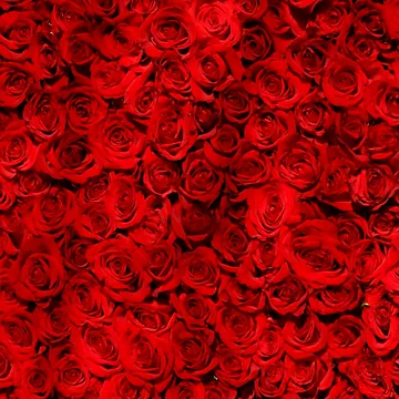 Artwork thumbnail, Red Roses Pattern by hazer888