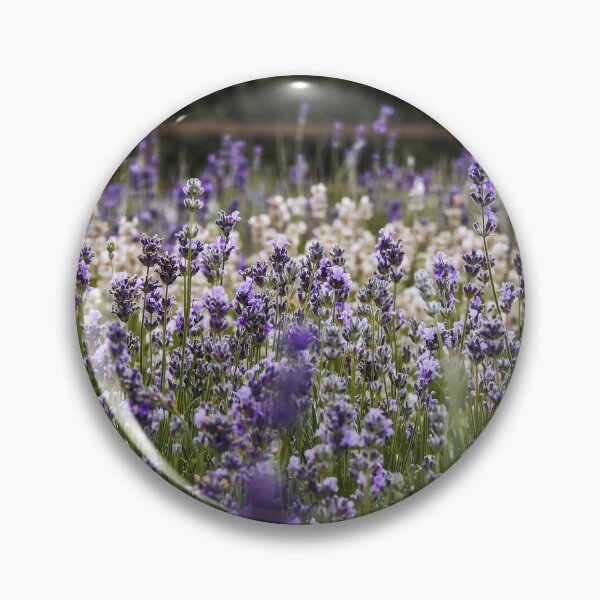 Item preview, Hitchin Lavender Fields Macro/Close Up designed and sold by ChloePorter17.